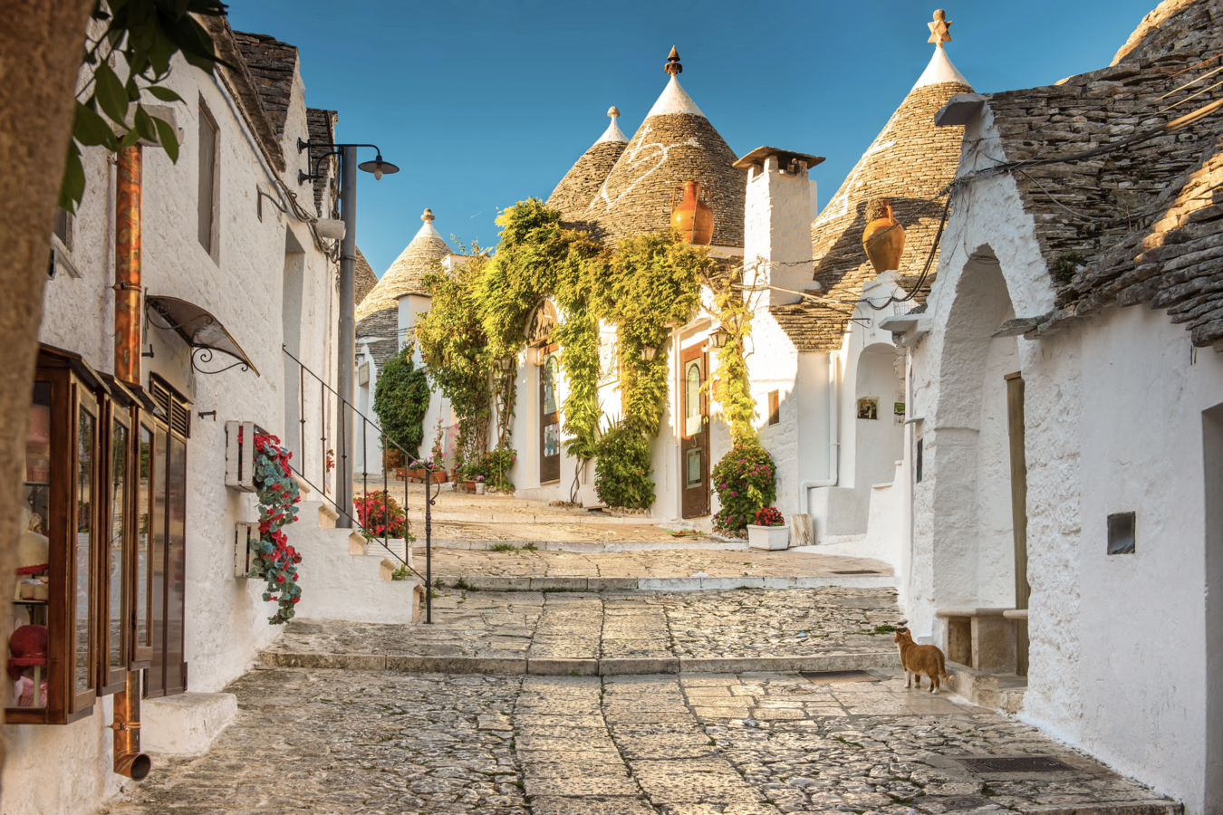 alberobello-torrelama-room-brekfast-puglia